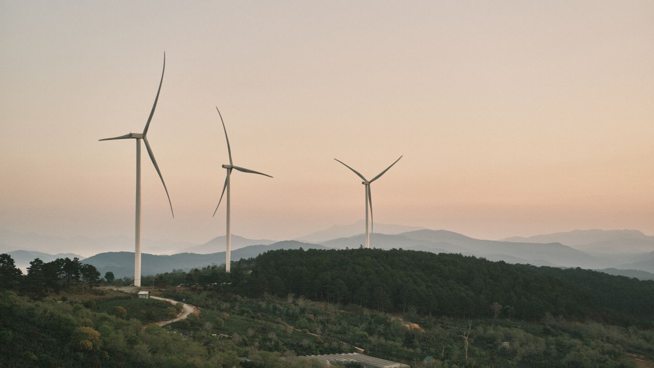 Scenic view of wind turbines over a misty forested landscape at sunrise, emphasizing renewable energy.